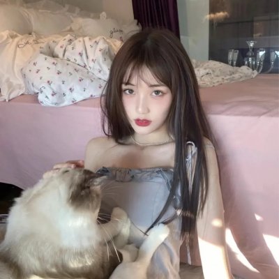 小象守护者